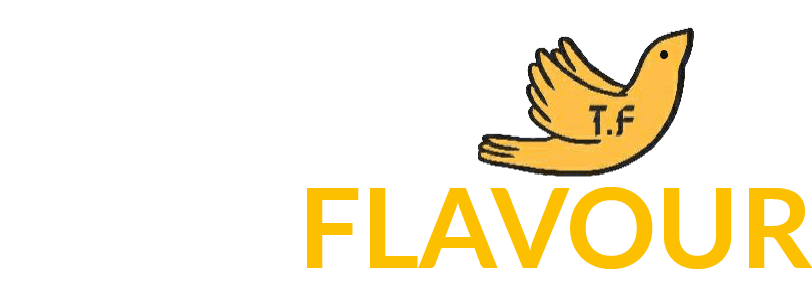 techno flavour logo