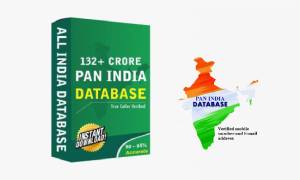 132+ Crore​ Pan India Database XLSX